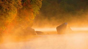 観光スポット / 7