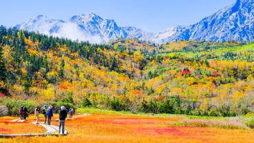 栂池自然園(秋) / 1