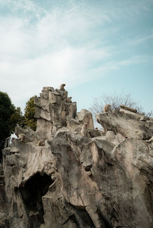 su_zoo_sansanさんの写真 / 4