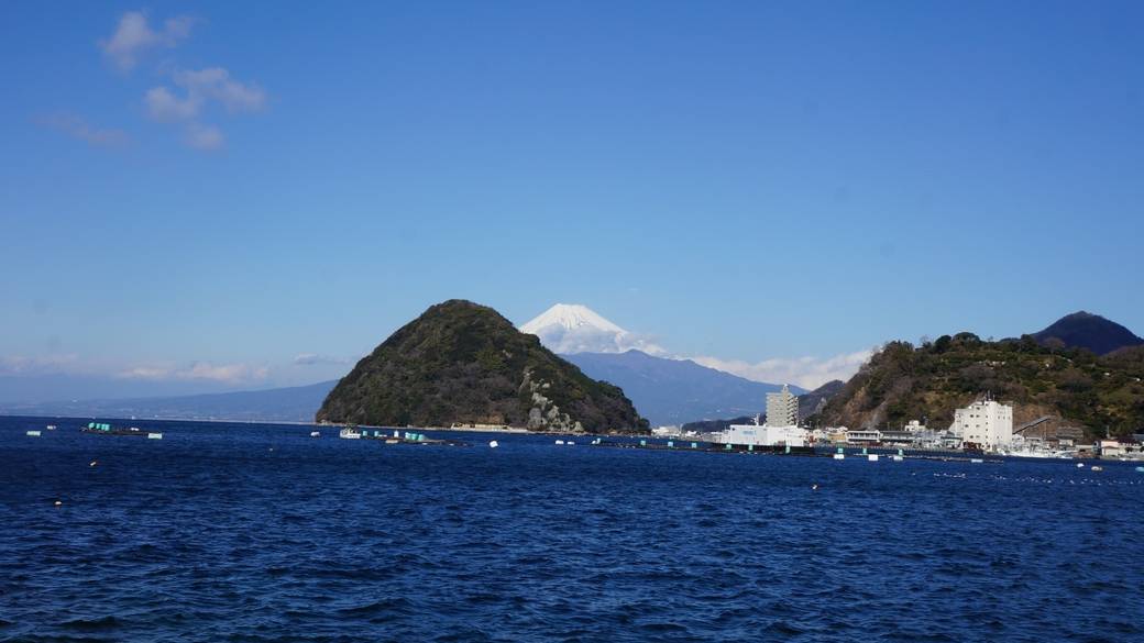園内からも富士山がくっきり / 5
