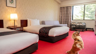 クラシックツイン (ドックフレンドリールーム)