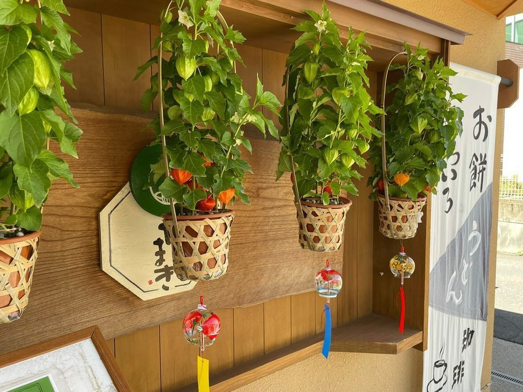 naomi_okbさんの写真 / 2