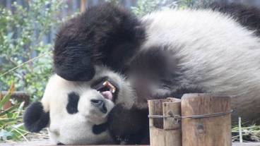 観光スポット / 5