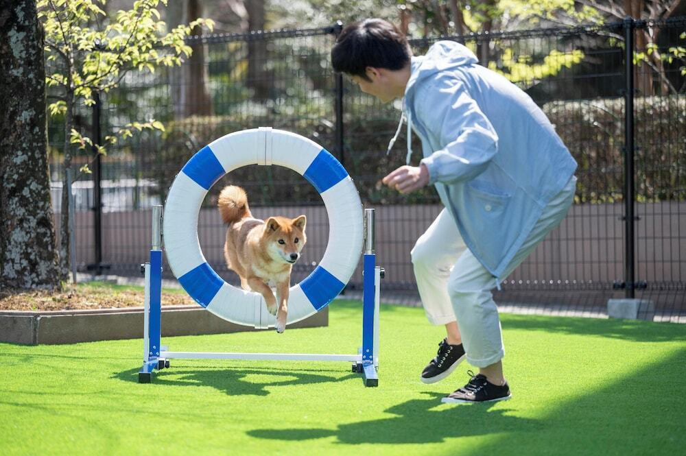 ペット用設備・サービス