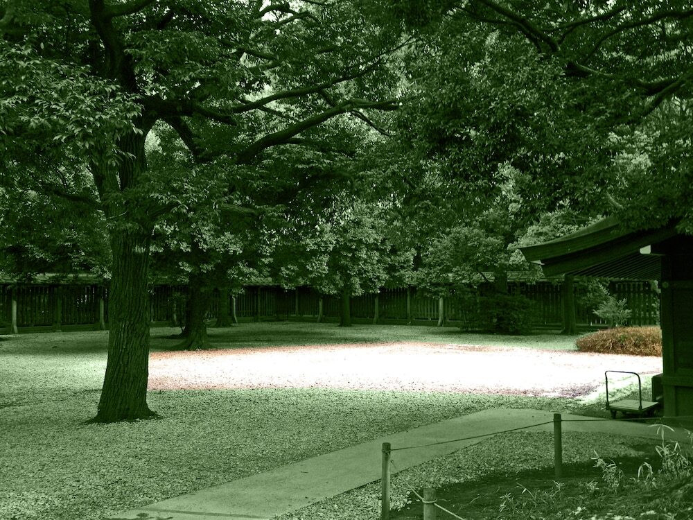 施設からの眺望