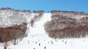 スノー スポーツとスキー / 9