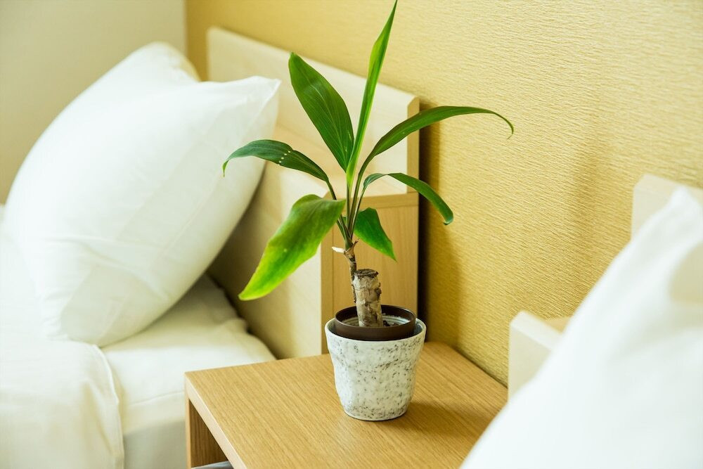 客室の設備とサービス