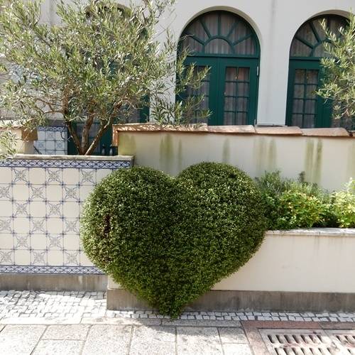 ハート型の植え込み / 4