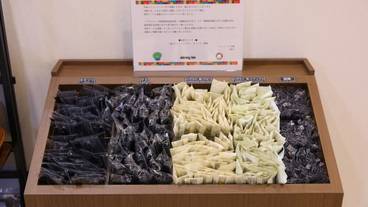 客室の設備とサービス / 25