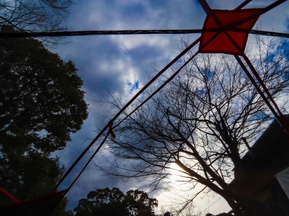 テラス / パティオ