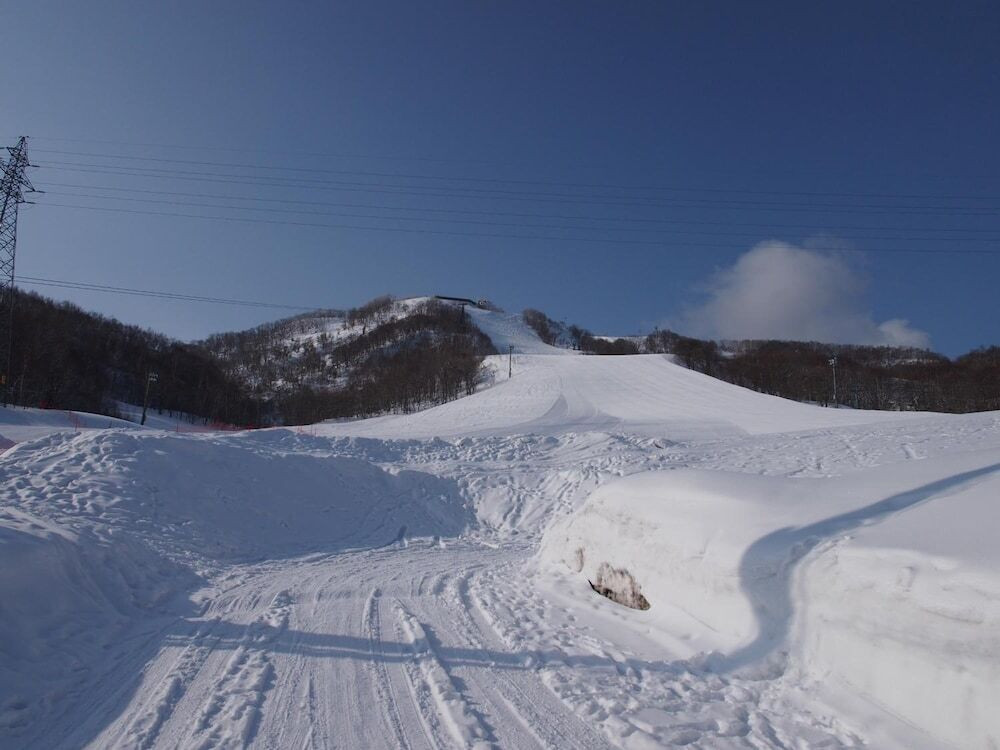 スノー スポーツとスキー