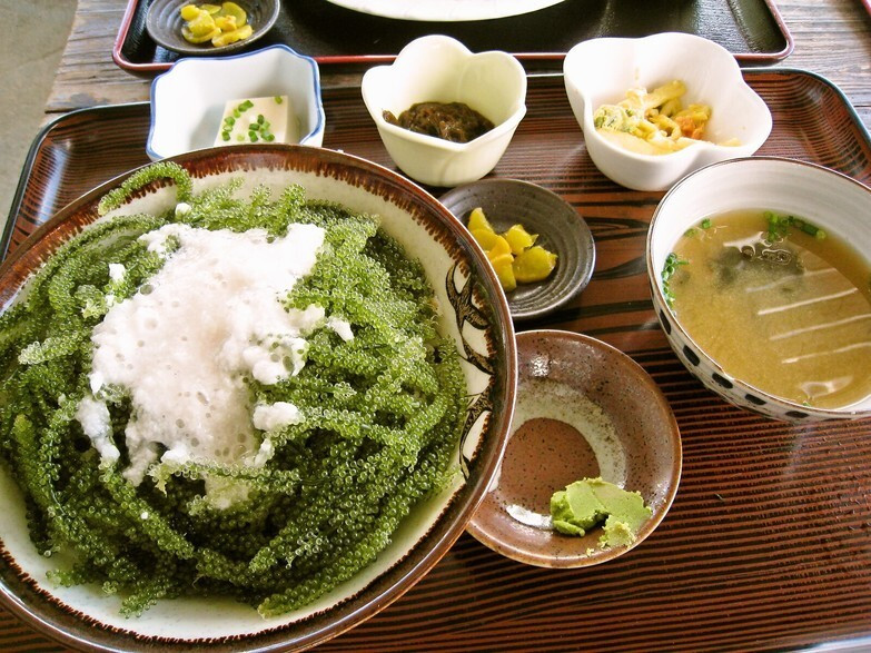 「しらさ」料理 679502 海ぶどう丼