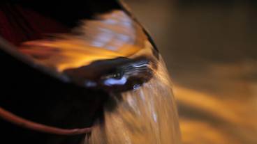 六甲布引温泉 / 6