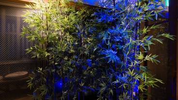 部屋からの景観 / 32