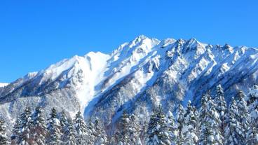 スノーシュー / 1