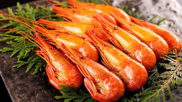 レストラン / 11