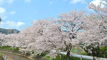 ハイキング / 12