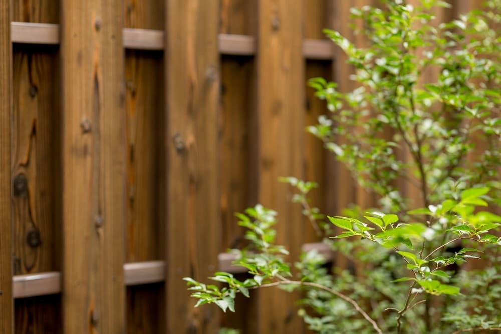 ガーデン ビュー