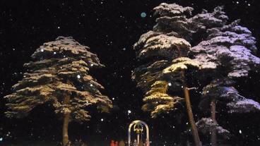 スノー スポーツとスキー / 5