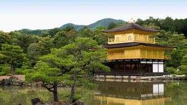 施設の敷地 / 15