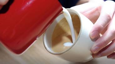 レストラン / 23