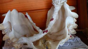 内装の詳細 / 11