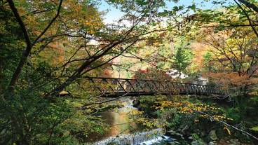 四季を味わう宿 山の茶屋（シキヲアジワウヤド　ヤマノチャヤ） / 1