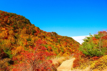 安達太良山(二本松市)771785