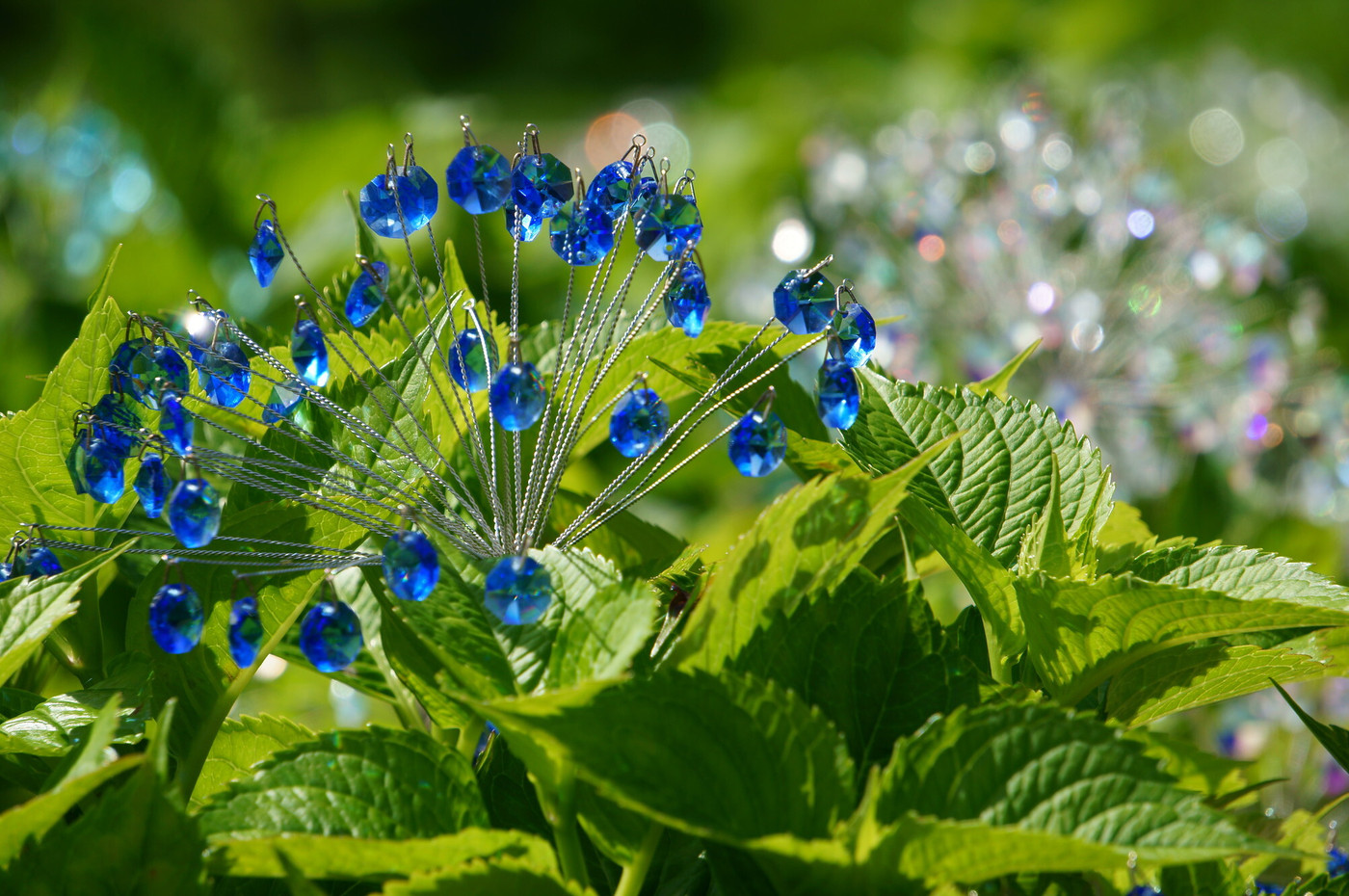 クリスタルのアジサイ