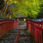 【2020年】自分らしく京都府を旅する！観光ポイント＆エリアの特徴を紹介♪