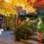 【10月25日～11月15日】鐘山苑・紅葉まつり！日本の秋を楽しむプラン（ナイトラウンジ＆色浴衣付） | 庭園と感動の宿 富士山温泉 ホテル鐘山苑