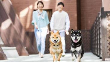 メイン イメージ / 1