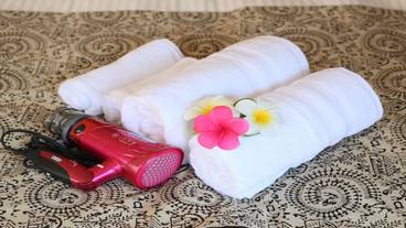 バスルームの設備 / 30