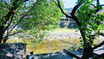 施設の敷地 / 13