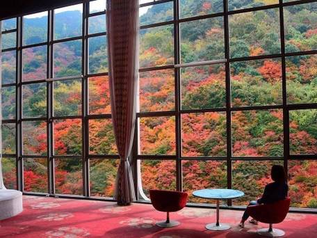 奥道後 壱湯の守（いちゆのもり） / 3