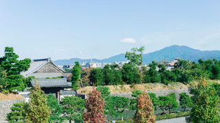 ルーム シングルベッド 2 台 禁煙 (Nijo Castle View)
