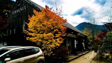 ランド ビュー / 32