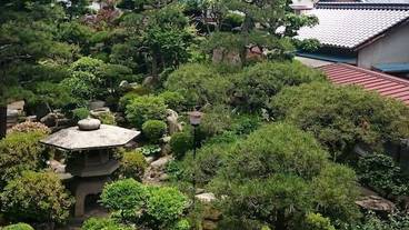 施設からの眺望 / 28