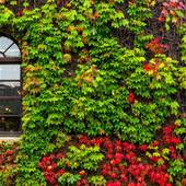 倉敷アイビースクエア（岡山県 旅館） / 5