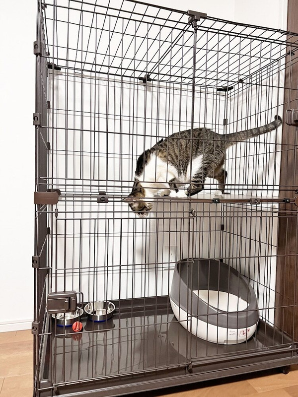 客室