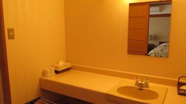 バスルームのシンク / 14