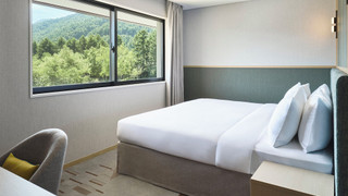 スイート 1 ベッドルーム (Forest View)