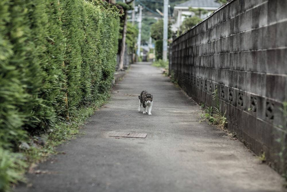 ストリート ビュー
