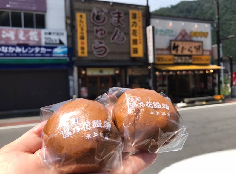 自然を眺めながら
水上温泉までドライブ / 4