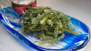 シティ ビュー / 35