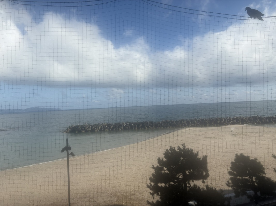 客室からの海