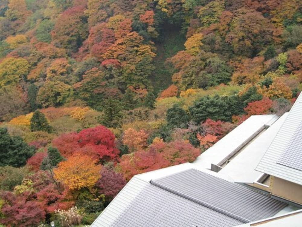 部屋からの景観