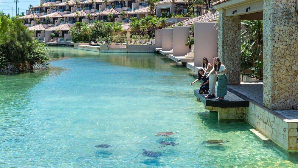 島気分が高まる
ウミガメがお出迎え
 / 2