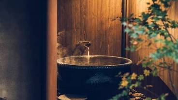 日本庭園 / 11