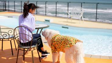 テラス プール / 6